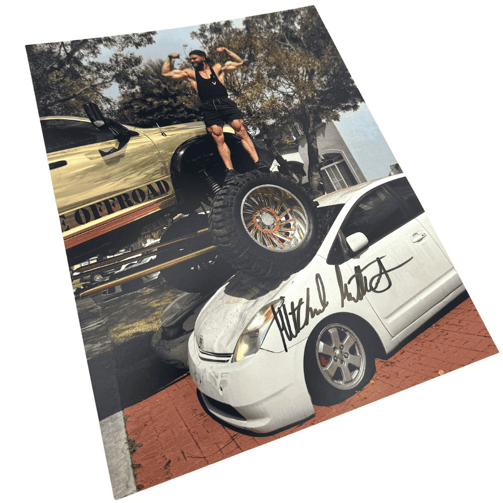 "F*ck Prius" Poster